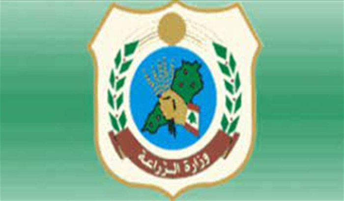 وزارة الزراعة: الساحل اللبناني يحتوي على اسماك القرش وغالبيتها مصنفة بالغير معادية الا في حال  الاعتداء عليه