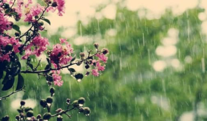 أمطار وبرق ورعد في عزّ حزيران