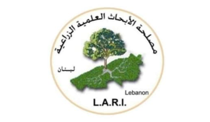 مصلحة الأبحاث الزراعية: موجات التسونامي بعيدة من لبنان