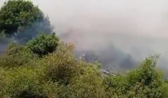بسبب سرعة الرياح.. حريق في مكب نفايات يمتد إلى الأحراج