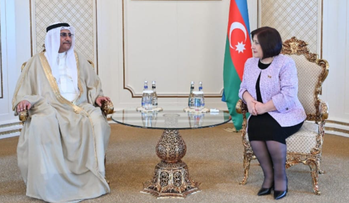العسومي يلتقي رئيسة برلمان جمهورية أذربيجان