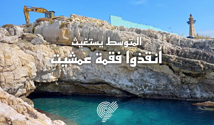 جمعية الأرض-لبنان: أنقذوا فقمة عمشيت