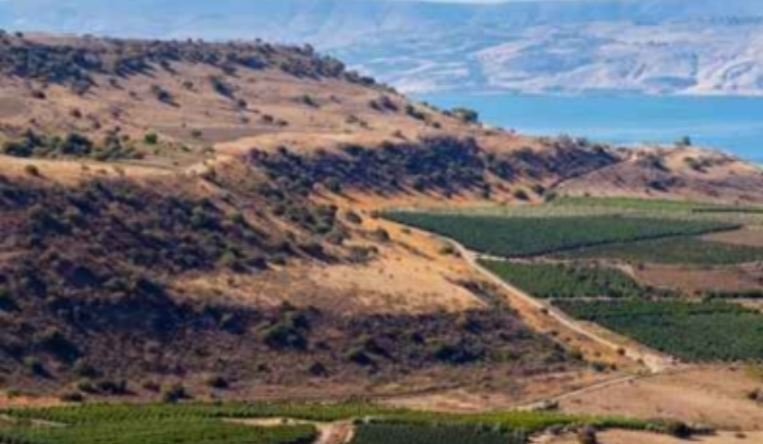 الجيش الإسرائيلي: إطلاق 3 صواريخ من الأراضي السورية نحو الجولان