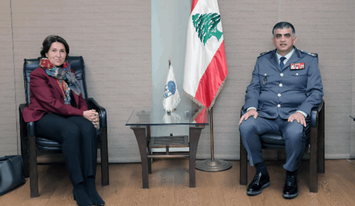 اللواء عثمان عرض الأوضاع العامة مع غريو