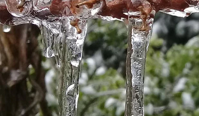 آذار يودّعنا بطقسٍ عاصفٍ