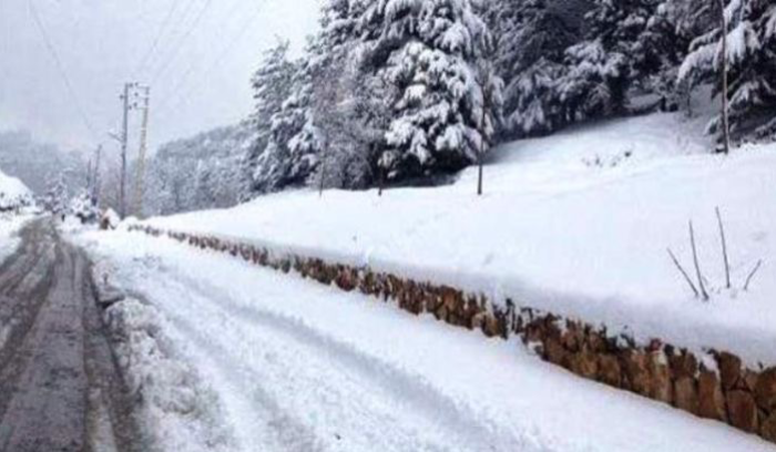 برد وصقيع مع طقس مستقر حتى السبت