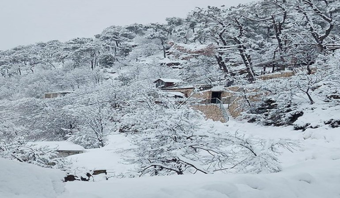 صقيع وبرد في لبنان مع استقرار في  حال الطقس...كيف هي حال الطرق الجبلية ؟