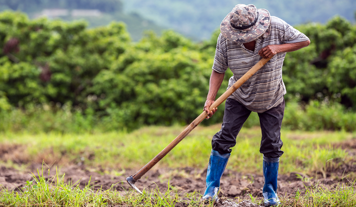 نقابة العمال الزراعيين: لتقديم الدعم لسوريا في مواجهة الزلزال