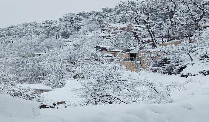 السلطة تبحث تأمين إعادة الإعمار.. وشروط من الدول بإصلاحات لبنانية داخلية وسيادة كاملة للدولة «بلا شريك»<br />
رسائل من موفدين غربيين.. وعون: الجيش جاهز للتمركز على طول الحدود
