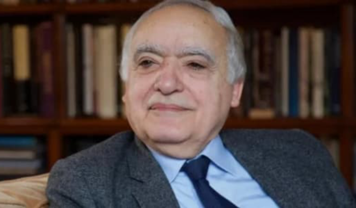 سلامة عرض والسفير الروسي لتفعيل العلاقات الثقافية