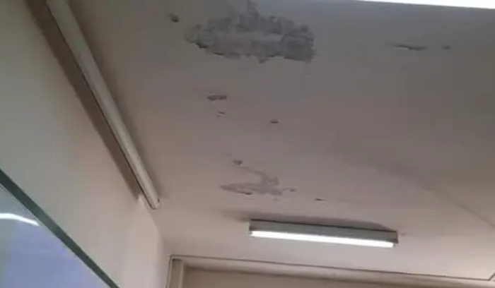 بالصور: سلامة طلاب 