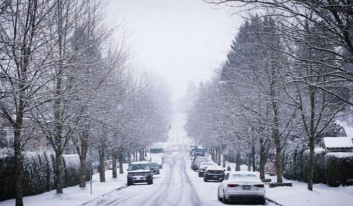 رئيس مصلحة الابحاث الزراعية: الشائعات حول التوقعات المناخية لا تمت الى الحقيقة بصلة