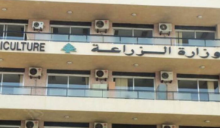 250 ألف دولار من أموال 