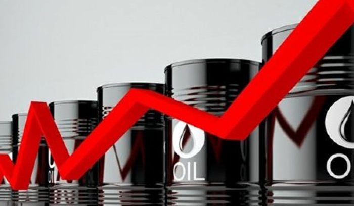 استقرار أسعار النفط