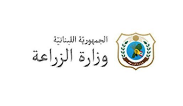 ضبط أكثر من 3 أطنان من الفاكهة المهرّبة في طرابلس
