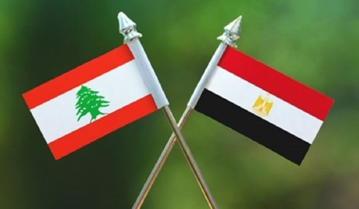 دعم مصري لمعالجة “كوليرا” بطريقه إلى لبنان