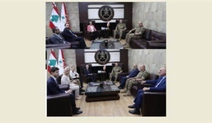 قائد الجيش عرض الأوضاع مع النائبة عون