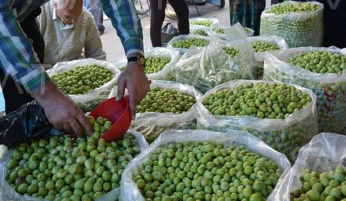 سرقة محلّ لبيع الزيتون ومنتجاتها