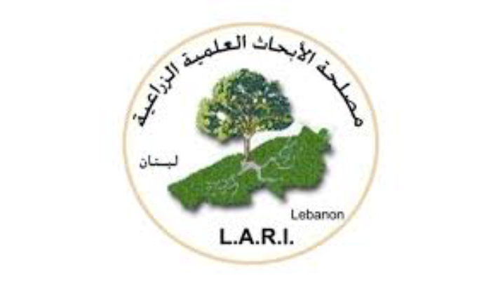 ما هي أسباب انتشار الكوليرا... الابحاث العلمية الزراعية توضح