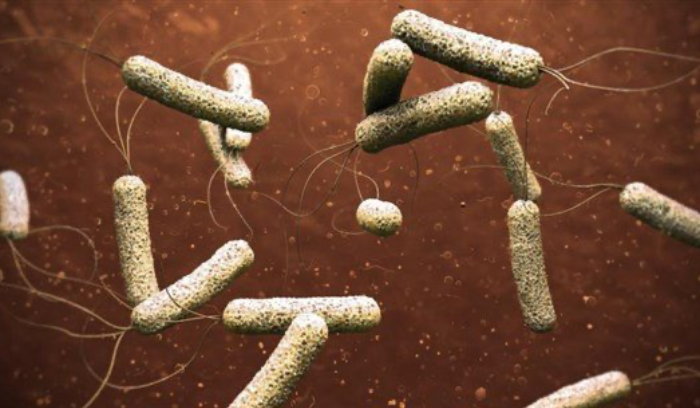 إليكم سبب دخول الكوليرا إلى لبنان