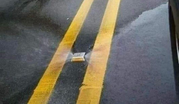 حنكش: ما تفعله اليابان.. وما يعيشه لبنان كلّ سنة!