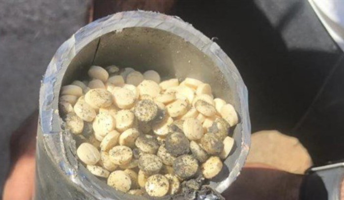 إحباط عمليّة تهريب كبتاغون من لبنان إلى تونس