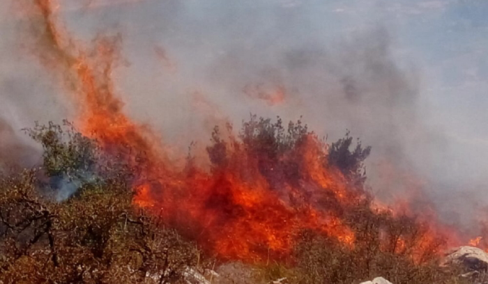 حريق كبير في بقعتوتا… والجيش يتدخّل