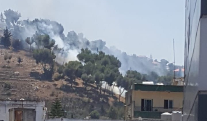حريق كبير في حرج صنوبر جبل الرويس