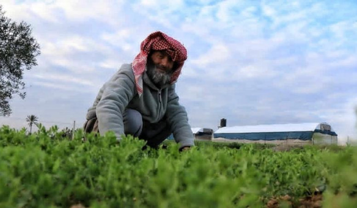 المزارعون يرمون إنتاجهم.. تصعيد الأسبوع المقبل