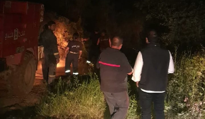 السيطرة على حريق كفرعميه-الغابون… السعد: لن نترك ثرواتنا للنار