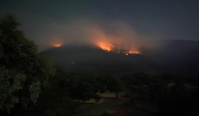بالصور: ⁧‫النيران‬⁩ تلتهم غابة بطرماز السفيري في ⁧‫الضنية