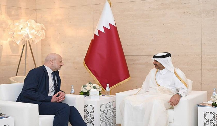 مولوي: اللبنانيون مصممون على النهوض بالوطن