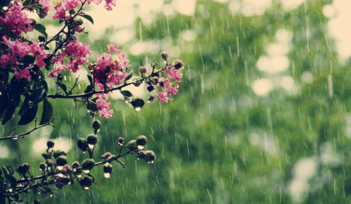 في عزّ الربيع.. امطار وبرق ورعد!
