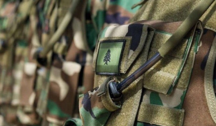 دهم منازل مطلوبين في مناطق مختلفة