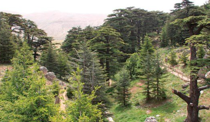 المحميات تفتح ابوابها للزوار مجاناً