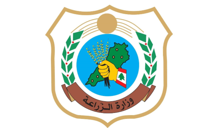 الزراعة نفت الأخبار المتداولة عن منع تصدير الحمضيات