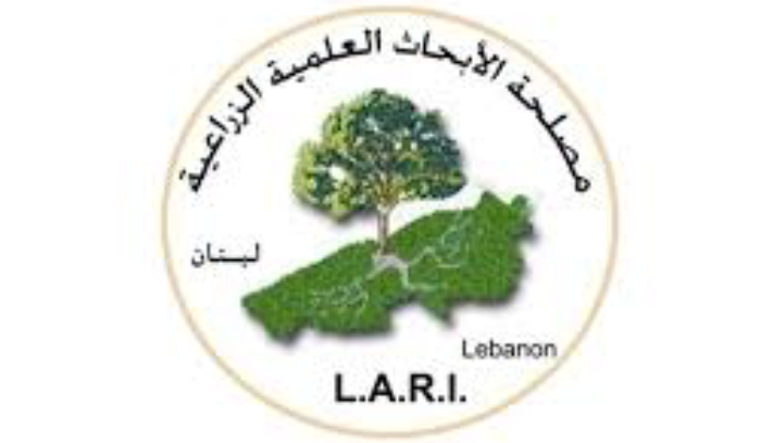 مصلحة الابحاث العلمية الزراعية: ​نضع كل امكاناتنا بتصرف الدولة لتخزين أي قمح مستورد حديثاً
