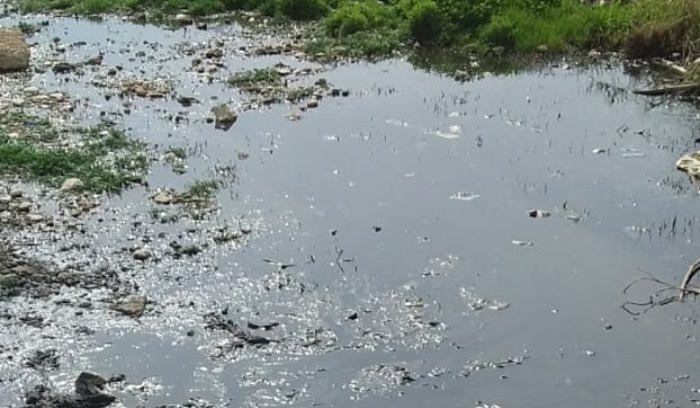 رائحة كريهة في كبا…