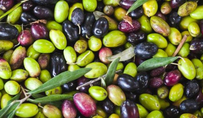 القبض على سارقي زيتون في كوسبا