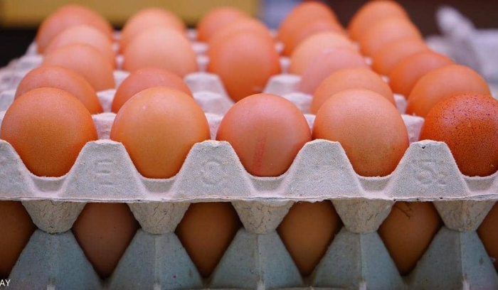 سعر كرتونة البيض الى ارتفاع؟