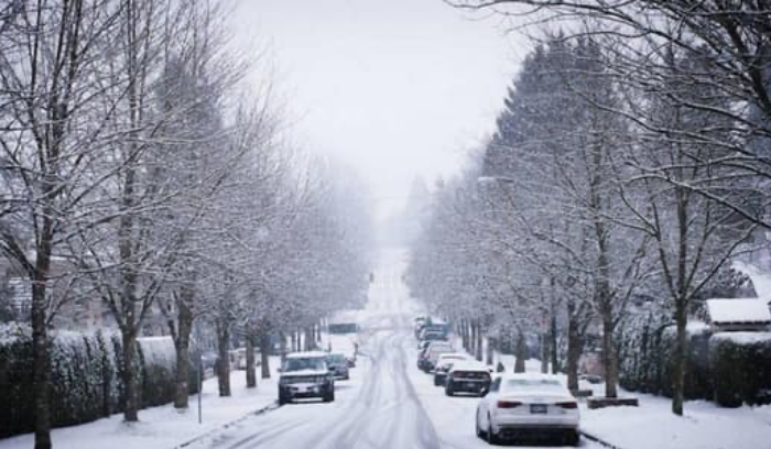 طقس لبنان: ثلوج وأمطار غزيرة وانخفاض في الحرارة وتحذير  من سلوك الطرق الجبلية فوق ال١٣٠٠ م