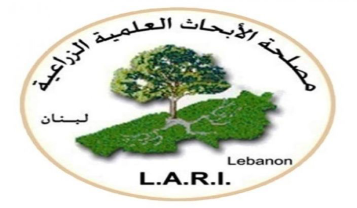لبنان معرّض لنقص بالأمطار والثلوج… والمياه!