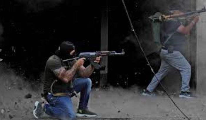 السلاح الفلسطيني خارج المخيمات 