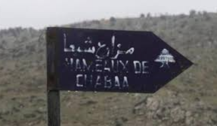 بلدية شبعا : على الدولة تكثيف جهودها الديبلوماسية لتثبيت الحق اللبناني بمزارع شبعا