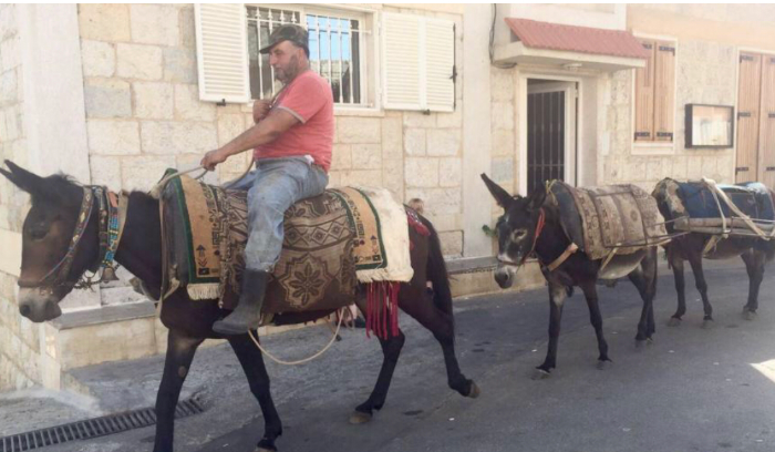 دفتر ضوابط وشروط