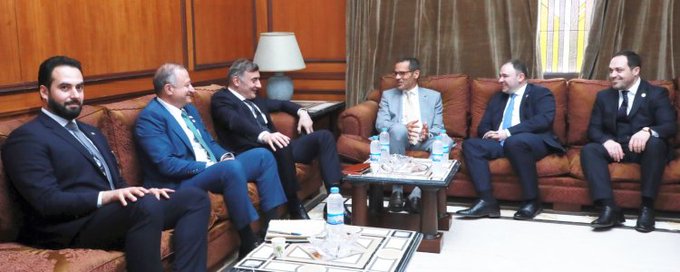 تفعيل التعاون بين لجنة العلاقات الخارجية النيابية في جورجيا