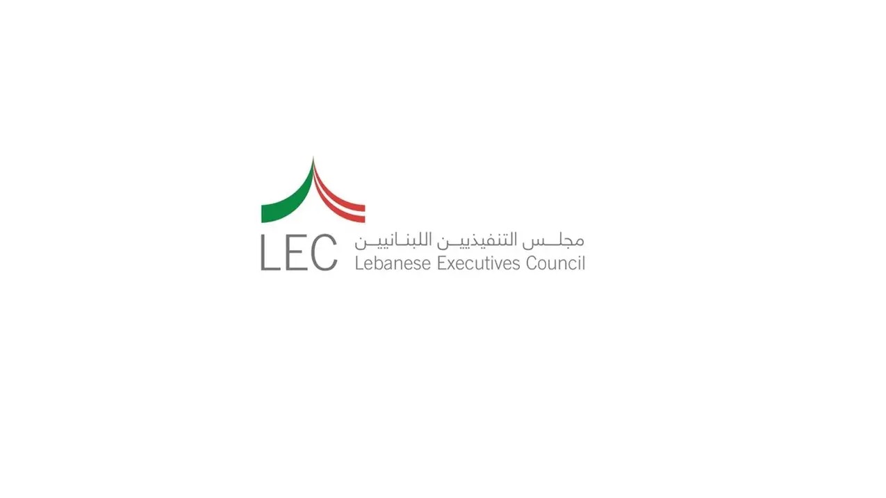 مجلس التنفيذيين اللبنانيين يستغرب موقف النائب فياض من اقتراع المغتربين