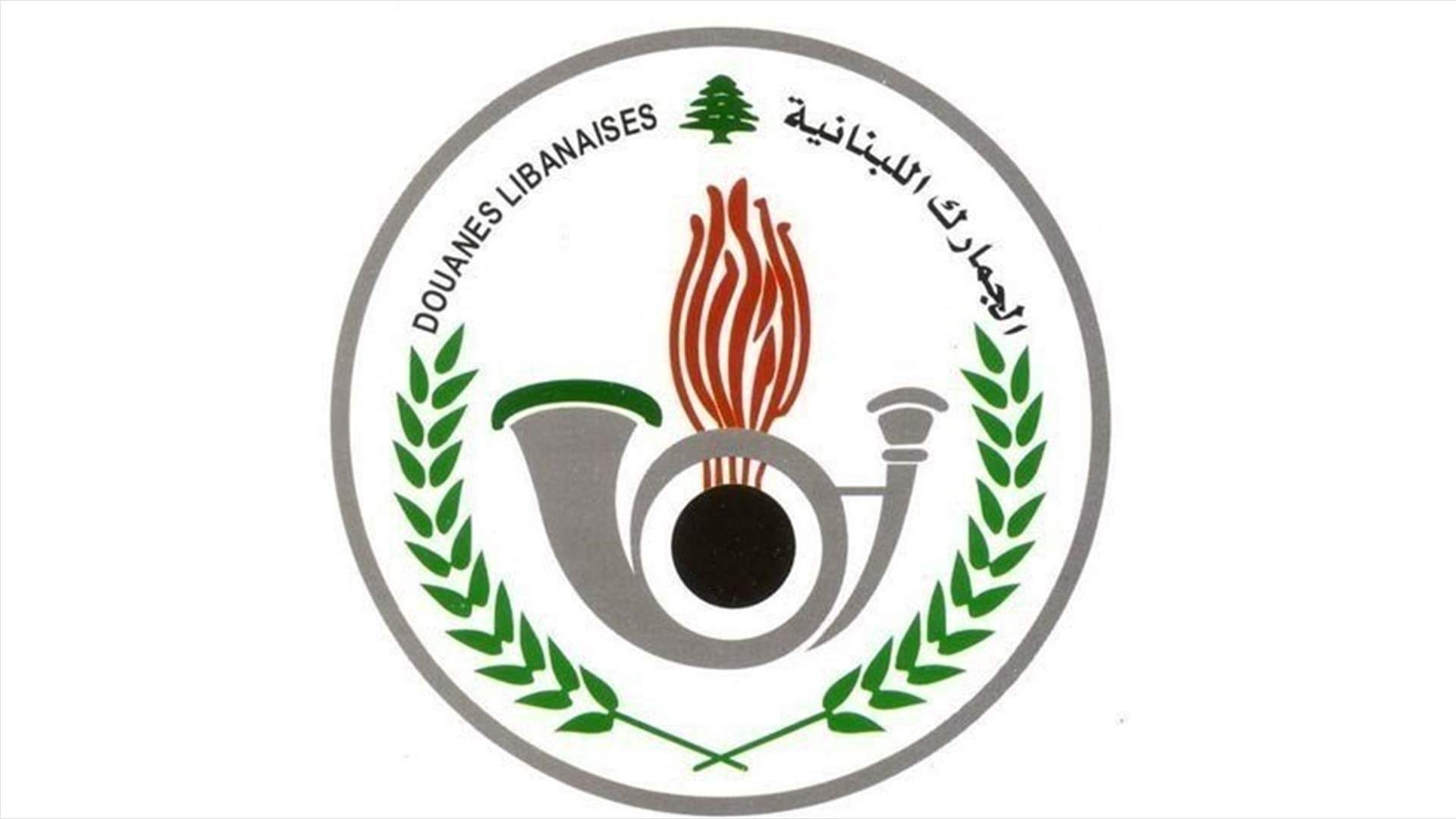 بقيمة تفوق 750 مليون ليرة.. ضبط محاولات تهريب منتجات زراعية