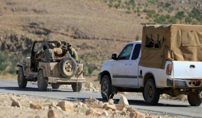 ضبط 12 طناً من المانغا اليمنية المهربة واتلافها