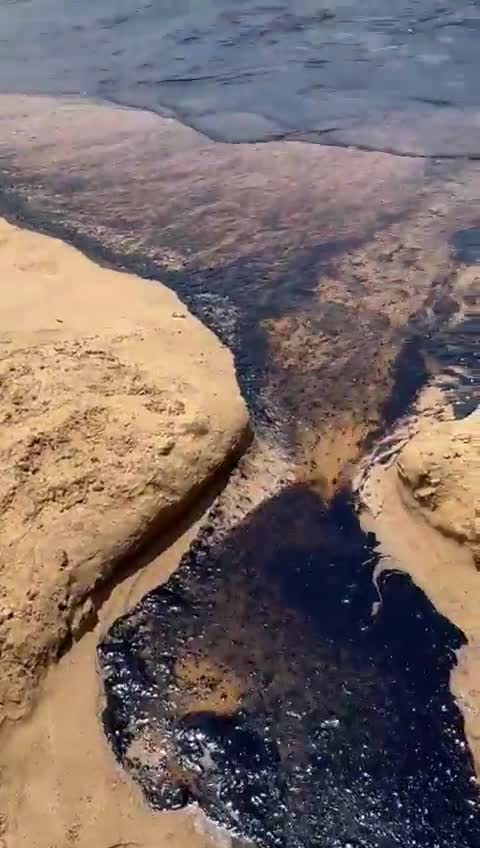 بالفيديو: تلوّث بيئي على شاطئ الجية